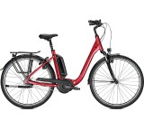 E-Bike im Test: Kingston 8 (Modell 2020) von Raleigh, Testberichte.de-Note: 2.0 Gut