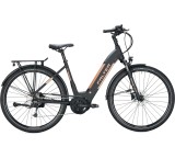 E-Bike im Test: E 9.8 KS Wave (Modell 2020) von Falter, Testberichte.de-Note: 2.8 Befriedigend