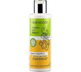Shampoo im Test: Basisches Natur Shampoo Ingwer Grapefruit von Greendoor, Testberichte.de-Note: 1.4 Sehr gut