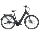 E-Bike im Test: Solero EVO 8F Damen (Modell 2021) von Pegasus, Testberichte.de-Note: 1.0 Sehr gut
