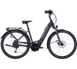 E-Bike im Test: Solero Evo 9 Damen (Modell 2022) von Pegasus, Testberichte.de-Note: 1.5 Sehr gut