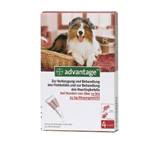 Zeckenmittel & Flohmittel für Haustiere im Test: Advantage 250 für Hunde, 10 bis 25 kg von Bayer Vital, Testberichte.de-Note: 2.8 Befriedigend