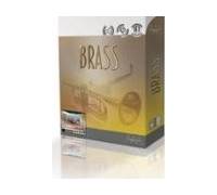 Produktbild Arturia Brass