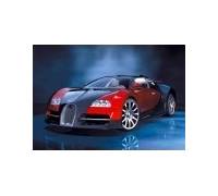 Produktbild Bugatti Veyron 16.4 Turbo Allrad DSG (736 kW) [05]