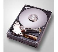 Produktbild HGST / Hitachi Deskstar T7K250 HDT722525DLA380