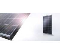 Produktbild IBC Solar MonoSol 240 TT