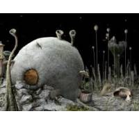 Produktbild Machinarium