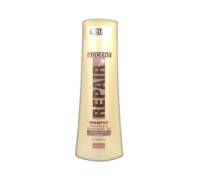 Produktbild Rossmann / Accent Repair Shampoo