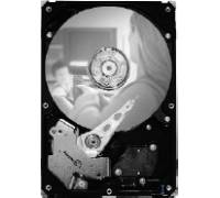 Produktbild Seagate ST 310216A