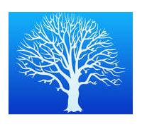 Produktbild Synium Software MobileFamilyTree 7