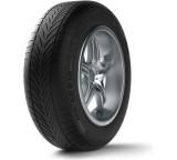g-Force Winter; 205/55 R16 91H