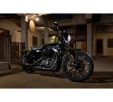 Sportster Iron 883 ABS (38 kW) [Modell 2017]