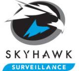 SkyHawk AI