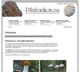 Informationen zu Pilzen