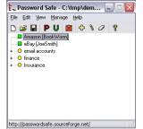 Password Safe 3.02