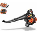 Laubgerät im Test: FX-E2LBS Set von Fuxtec, Testberichte.de-Note: 1,8