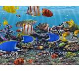 3D Fish School Screensaver 4.8