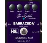 Gitarren-Effektgerät / -Preamp im Test: Barracuda Analog Flanger von ToadWorks, Testberichte.de-Note: ohne Endnote