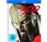 300 - The Ultimate Experience