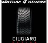 Wintrac 4 Xtreme; 235/55 R 17 99H