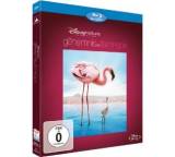 Das Geheimnis der Flamingos