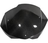 Carbon Windschild für BMW F 800 R