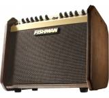 Akustikgitarren-Verstärker im Test: Loudbox Mini von Fishman, Testberichte.de-Note: 2.3 Gut