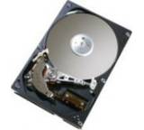 Deskstar 7K80 HDS728080PLA380 (80 GB)