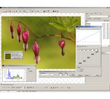 Image Processing Software