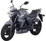 Motorrad im Test: Wolf SB250Ni (19 kW) [12] von SYM, Testberichte.de-Note: ohne Endnote