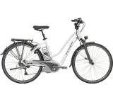 E-Bike im Test: Flyer L9 Deluxe - Shimano Alfine 8 Gang (Modell 2012) von Biketec, Testberichte.de-Note: 1.0 Sehr gut