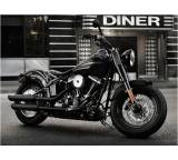 Softail Slim ABS (58 kW) [12]