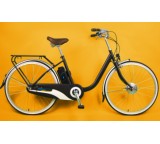 E-Bike im Test: T-Model (Modell 2012) von Momentum, Testberichte.de-Note: ohne Endnote