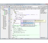 SynWrite 4.8