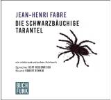 Die schwarzbäuchige Tarantel