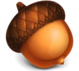 Acorn 4.0.4