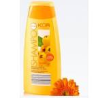 Haircare Shampoo Aromapflege Sanddorn-Extrakt