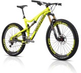 Bronson Carbon (Modell 2014)