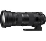 150-600mm F5-6,3 DG OS HSM Sports (für Canon)