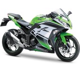 Ninja 300 30th Anniversary Edition ABS (29 kW) [Modell 2014]