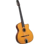 Gitarre im Test: Gitane DG-310 von Saga, Testberichte.de-Note: ohne Endnote