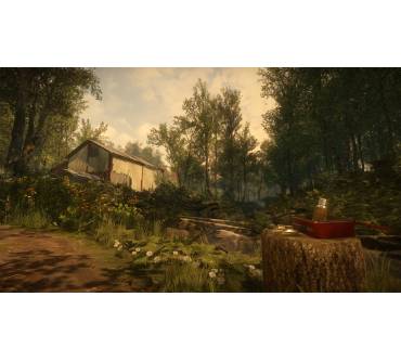 Produktbild Everybody's Gone to the Rapture (für PS4)