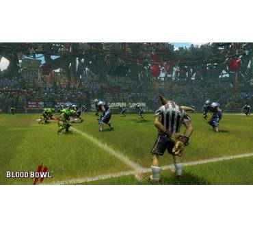 Produktbild Blood Bowl 2