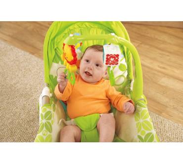 Produktbild Fisher Price 2-in-1 Kompakt-Schaukelsitz BCD28