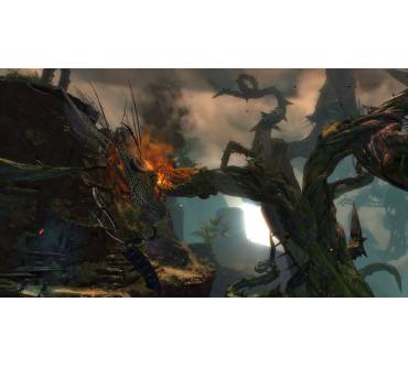 Produktbild Guild Wars 2 - Heart of Thorns (für PC)