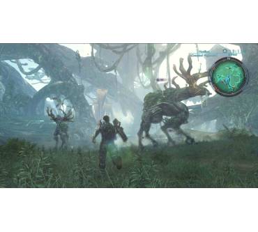 Produktbild Xenoblade Chronicles X (für Wii U)