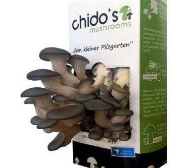 Produktbild Chido‘s Mushrooms Dein kleiner Pilzgarten (Austernpilz)