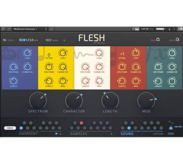 Produktbild Native Instruments Flesh