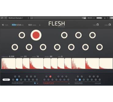 Produktbild Native Instruments Flesh