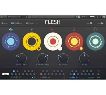 Produktbild Native Instruments Flesh